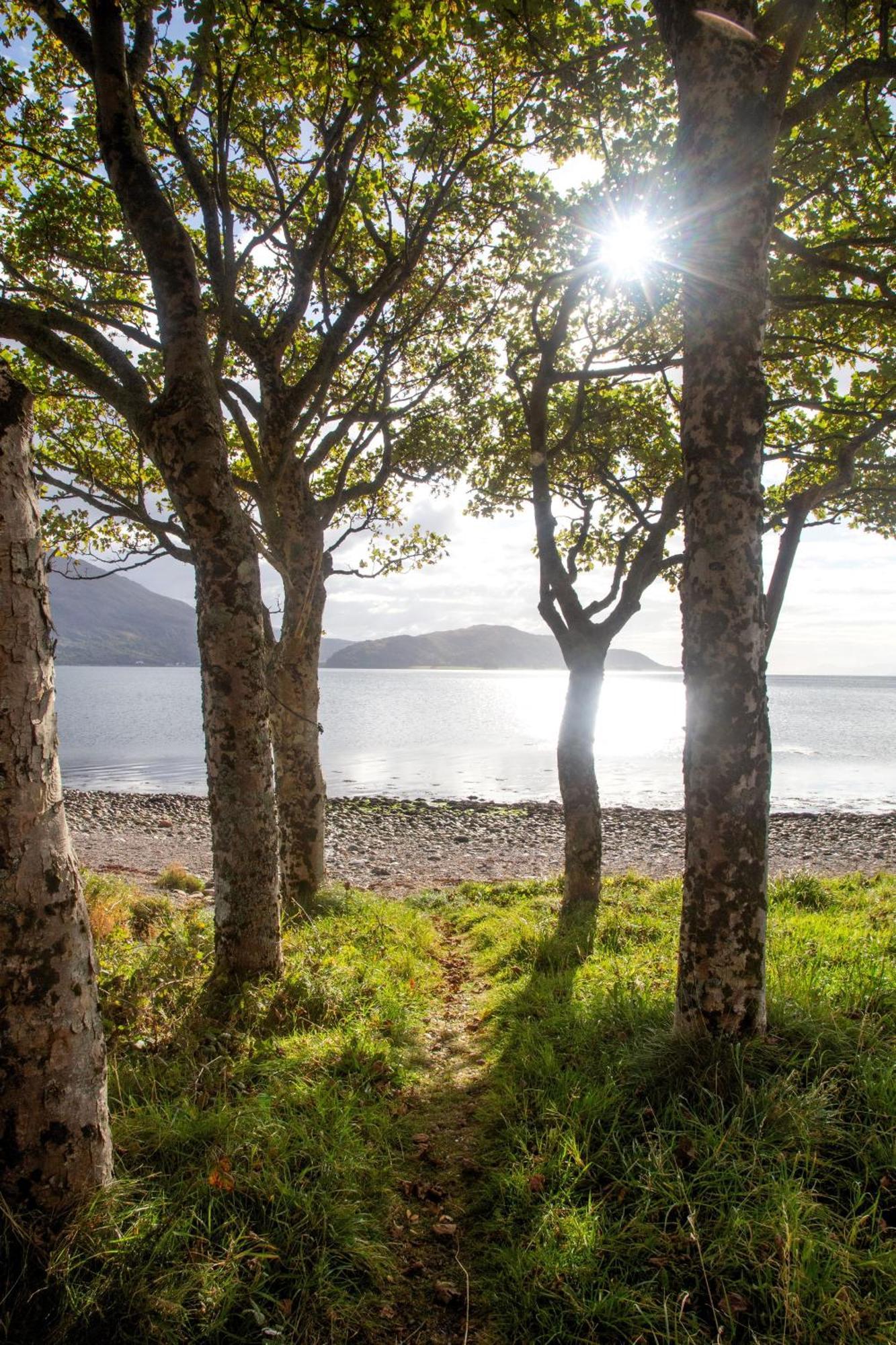 Ash, Birch And Rowan Self Catering Cabins ออนิค ภายนอก รูปภาพ